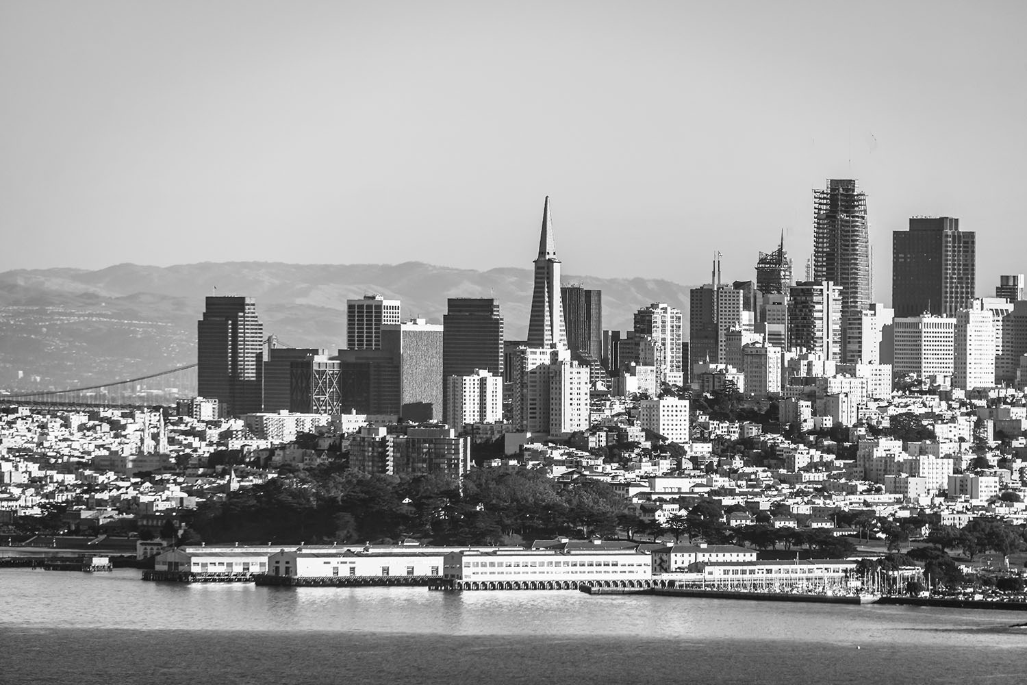 AIPLA San Francisco Event